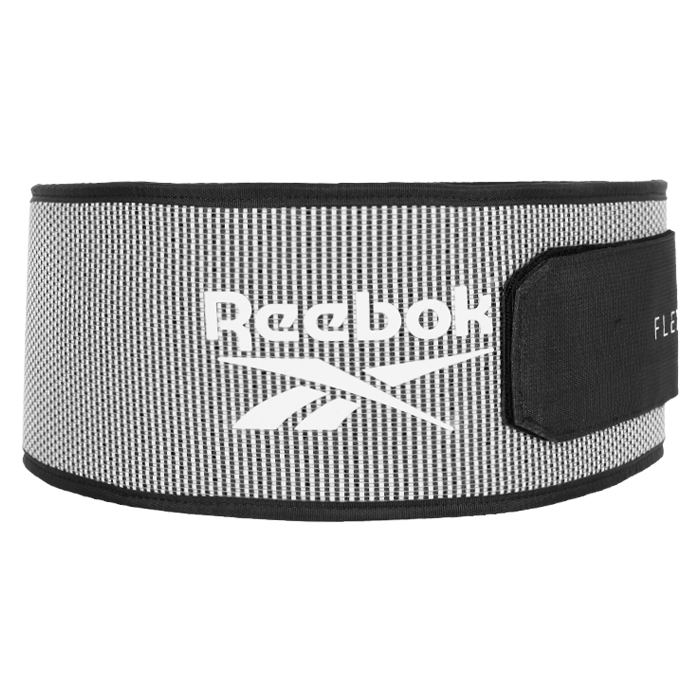 ���� �÷������� �Ŀ� ������ ������Ʈ(RAAC-15066) �׷���_ ����Ư�� �̹���